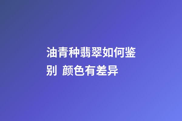 油青种翡翠如何鉴别  颜色有差异
